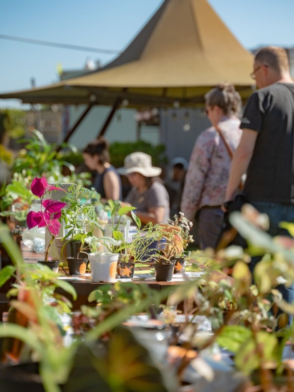 Outdoor market with people and potted plants on tables under a sunny sky.