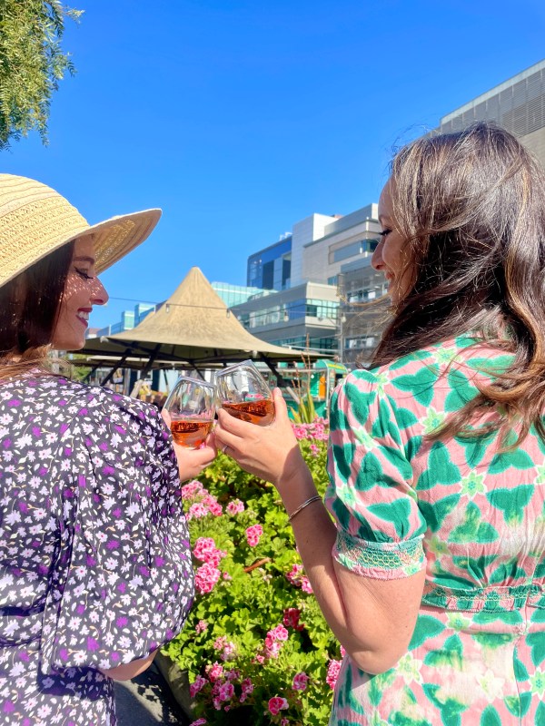 Two women in floral dresses toast with drinks in a garden setting, under a clear blue sky.