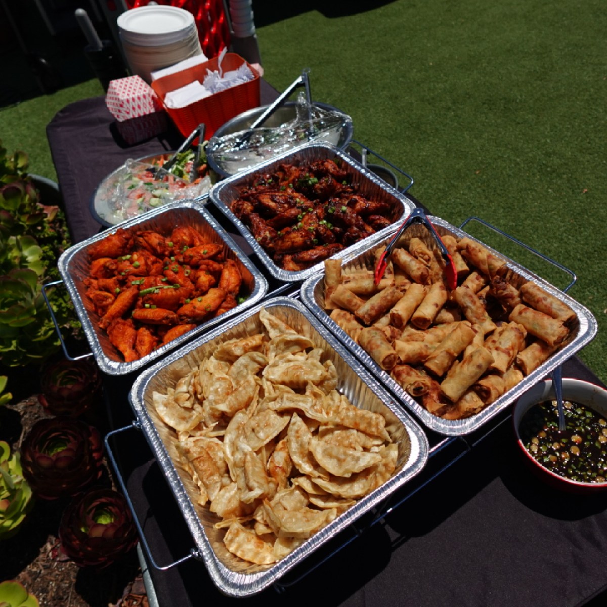 Trays of dumplings, spring rolls, and chicken wings at an outdoor buffet.