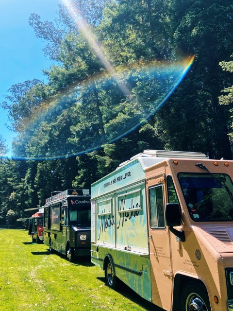 Food trucks parked on grass under a clear sky with trees in the background.