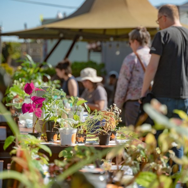 People browsing plants on outdoor tables under a large umbrella on a sunny day.