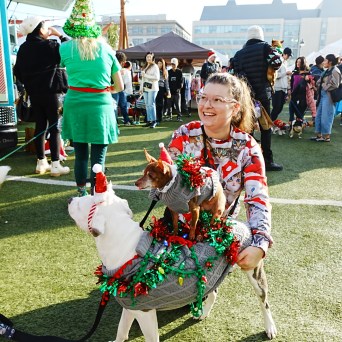 Person with dogs dressed in festive costumes at an outdoor event.